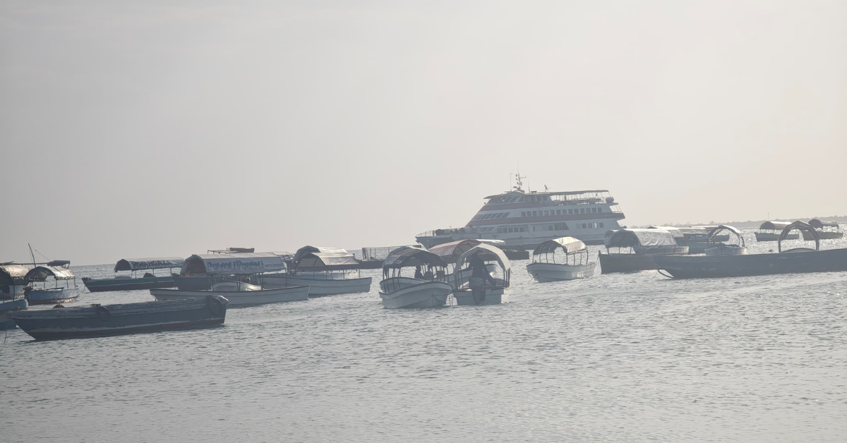 Best Boat Trips in Zanzibar